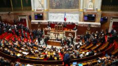 Iran: l’ambassadeur de France convoqué après une résolution critique du Parlement français