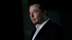 Elon Musk confirme que certains employés de Twitter vendaient des badges de vérification «en coulisse»