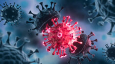Les vaccins Covid pourraient réactiver les virus et les maladies dans votre organisme