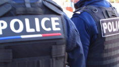 Un policier interpellé nu en plein « bad trip » à cause de champignons hallucinogènes