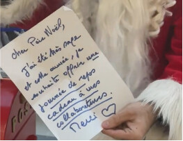 Un cadeau de Noël après l’heure: en Vendée, le patron d’un hypermarché offre un jour de congé à ses salariés