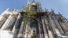 Rouen : ivres, ils détruisent une gargouille de l’église Saint-Maclou