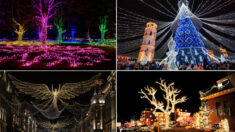[PHOTOS] Quelques-unes des plus belles illuminations de Noël dans le monde