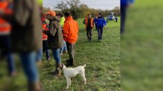 Dordogne : des chasseurs aident les gendarmes à retrouver une octogénaire disparue