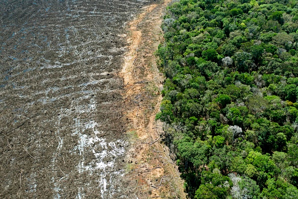 Photo aérienne d'une zone déboisée près de Sinop, dans l'État du Mato Grosso, au Brésil, prise le 7 août 2020. (Photo : FLORIAN PLAUCHEUR/AFP via Getty Images)