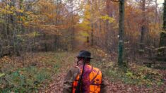 « Les chasseurs, premiers écologistes de France ? »: la campagne de communication de la Fédération nationale des chasseurs retoquée par la cour d’appel de Paris