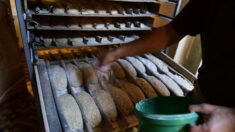 «Nous allons passer de 3000 à 30.000€ par mois d’électricité»: une boulangerie des Yvelines pourrait mettre la clé sous la porte