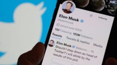Twitter: les utilisateurs votent à 57,5% pour la démission d’Elon Musk