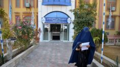 Jeunes filles exclues des universités en Afghanistan :  elles « ne respectaient pas le code vestimentaire », déclare le ministre taliban de l’Enseignement supérieur