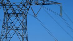 Gard: des militants écologistes tentent de scier un pylône électrique à très haute tension
