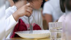 Une élue demande que le Conseil municipal mange les mêmes repas qu’en cantine scolaire