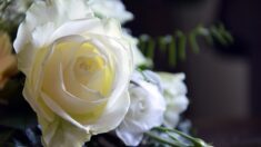 Montpellier: roses blanches et prières pour Aymen 14 ans, fauché pendant le Mondial