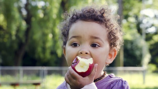 Pourquoi vous devriez manger deux pommes par jour