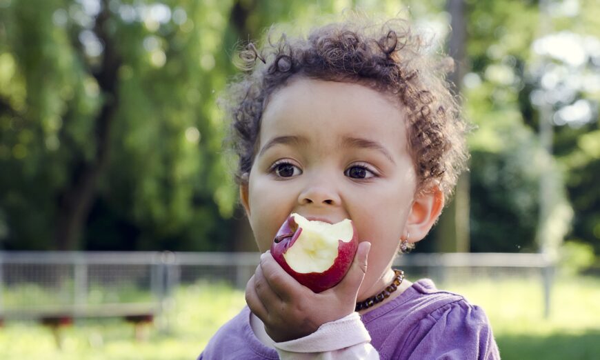 Pourquoi vous devriez manger deux pommes par jour