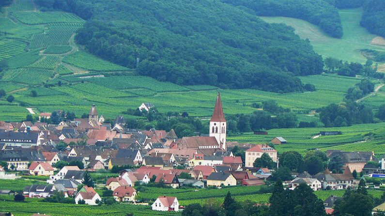 Vue sur le village d'Ammerschwihr depuis les hauteurs de Sigolsheim. (Photo: Bernard Chenal/Wikimédia)