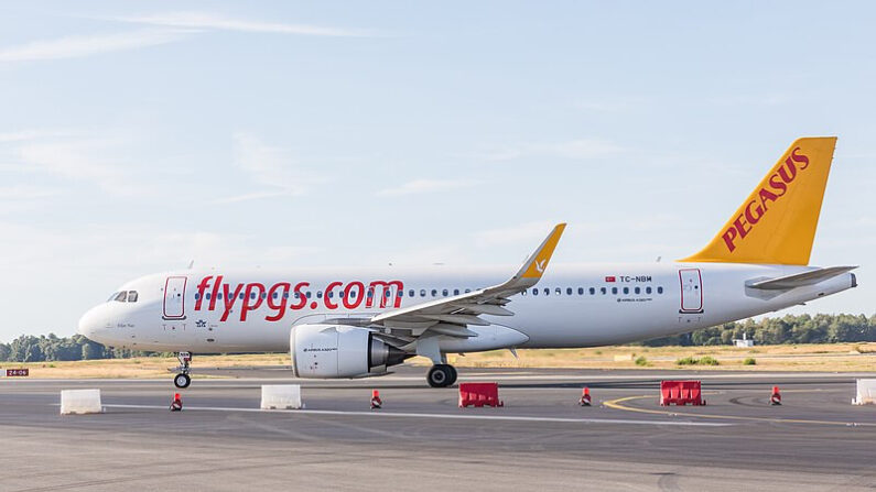 Un avion appartenant à la compagnie aérienne Pegasus Airlines. (Photo: Wikipédia)
