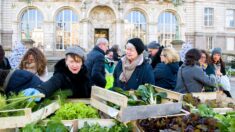 Limoges : distribution gratuite de produits plantés localement par la municipalité