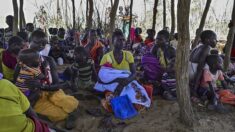 Kenya : dans le comté de Turkana, beaucoup de femmes enceintes doivent se débrouiller seules à cause de la sécheresse