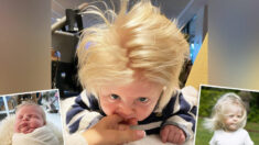Les photos d’un bébé né avec une tête garnie de cheveux blonds font le tour du monde et il devient une « petite vedette »