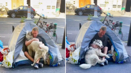 [VIDÉO] Grâce à l’insistance d’un husky, un sans-abri à Paris voit sa vie prendre un nouveau tournant