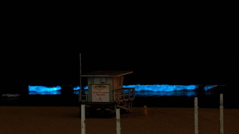 Des vagues bioluminescentes s'écrasent sur le sable, le 28 avril 2020, à Manhattan Beach, en Californie. (Photo: VALERIE MACON/AFP via Getty Images)