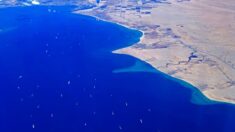 Canal de Suez: un navire échoué remis à flot, sans perturber le trafic