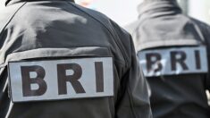 Quadragénaire trouvée morte en Ille-et-Vilaine: le compagnon avoue être à l’origine du décès