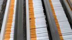 France: démantèlement de la plus importante fabrique de cigarettes de contrefaçon, neuf personnes mises en examen