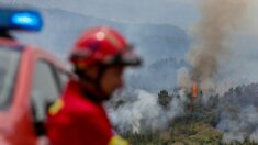 Bas-Rhin: création d’un réseau de sentinelles pour lutter contre les feux de forêt