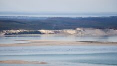 Gironde : la Dune du Pilat recouverte de neige !