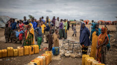 Dans la Corne de l’Afrique, 22 millions de personnes menacées par la sécheresse