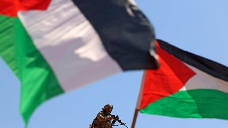 Israël expulse une Italienne suspectée d’appartenir à une organisation « terroriste »