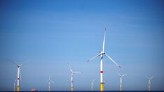 Répartition de la taxe sur l’éolien en mer: le maire de Saint-Nazaire en « colère » contre un nouveau mode de calcul