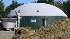 «Boucler la boucle»: cette ferme de la Loire produit un carburant non polluant à base de fumier