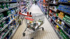 Panier anti-inflation: les supermarchés n’ont eu « aucune proposition du gouvernement », indique la FCD