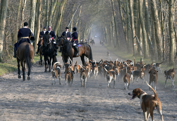 Image d'illustration. (AFP via Getty Images)