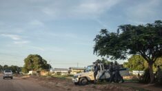 Soldats brûlant des cadavres: Amnesty dénonce la guerre « oubliée » au Mozambique
