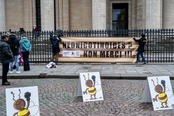 Un rassemblement contre la levée potentielle de l'interdiction des pesticides néonicotinoïdes tueurs d'abeilles à Paris le 20 janvier 2023. (Photo : BERTRAND GUAY/AFP via Getty Images)