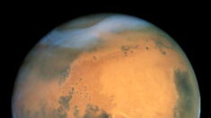 « Un ours sur Mars ? » La Nasa publie une intrigante photo de la planète rouge