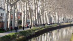 Toulouse: un passant plonge dans le Canal du Midi pour sauver un sans-abri