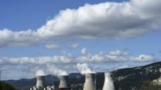 EDF: un réacteur du parc nucléaire de Tricastin à l’arrêt en raison des « températures douces »