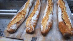 Boulangerie : il faut restaurer la culture du pain authentique et savoureux