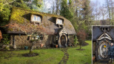 Un bûcheron créatif de 90 ans a construit sa propre maison de Hobbit et y vit en dehors du réseau