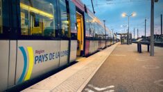 Loire: une femme tuée après avoir été percutée par un train dans une gare