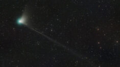 Une nouvelle comète va passer à côté de la Terre et sera visible à l’œil nu
