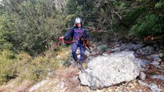 Hérault : les pompiers sauvent un chien coincé en contrebas d’une falaise
