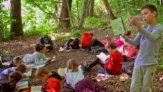 Éducation: elle transforme la forêt en salle de classe avec « l’école en plein air »