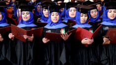 Afghanistan : l’interdiction de l’accès à l’université est « un nouveau coup épouvantable porté aux droits des femmes »