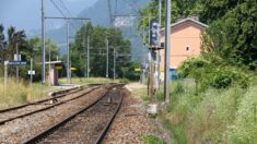 Dans trois gares de Corrèze, il faudra désormais faire signe au conducteur pour que le train s’arrête