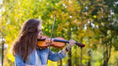 Une jeune musicienne de 14 ans retrouve son violon oublié dans un train grâce à un appel lancé sur les réseaux sociaux